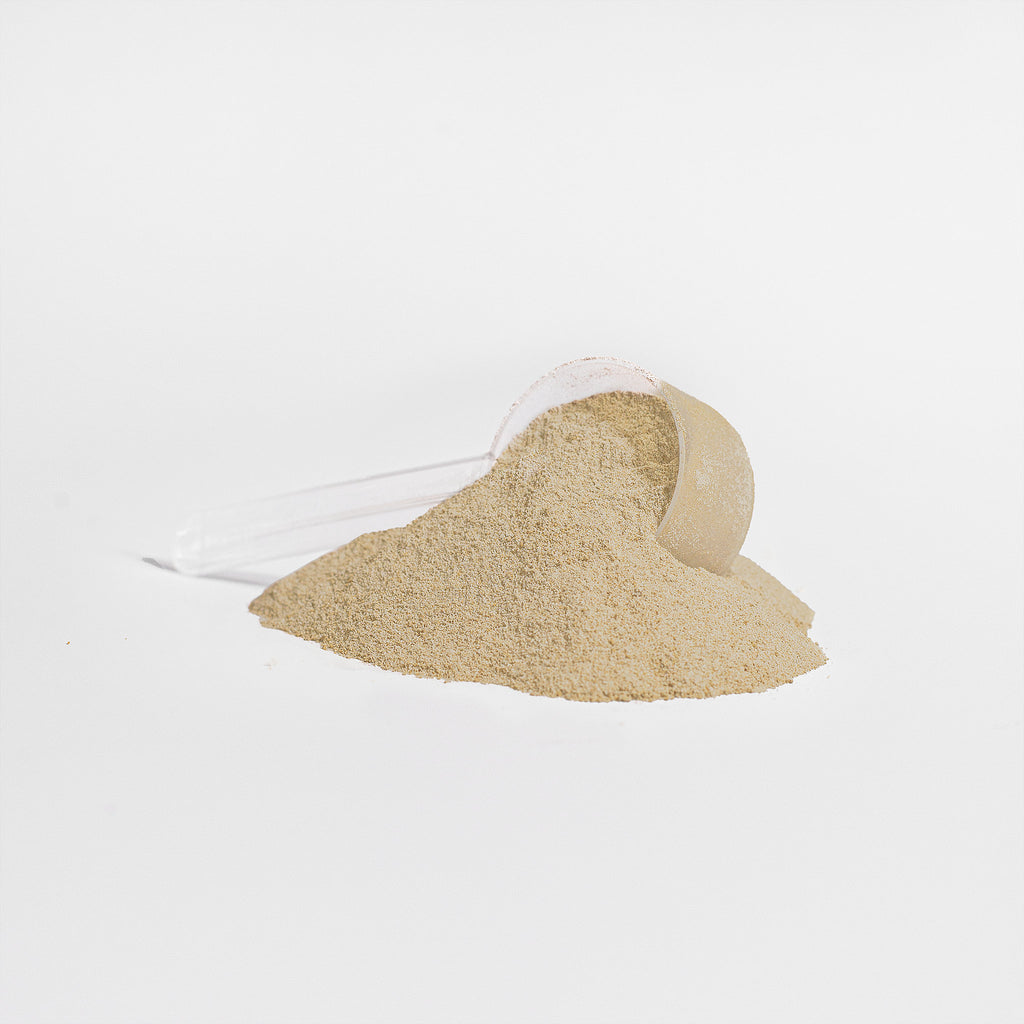 Winning Fuel Protein