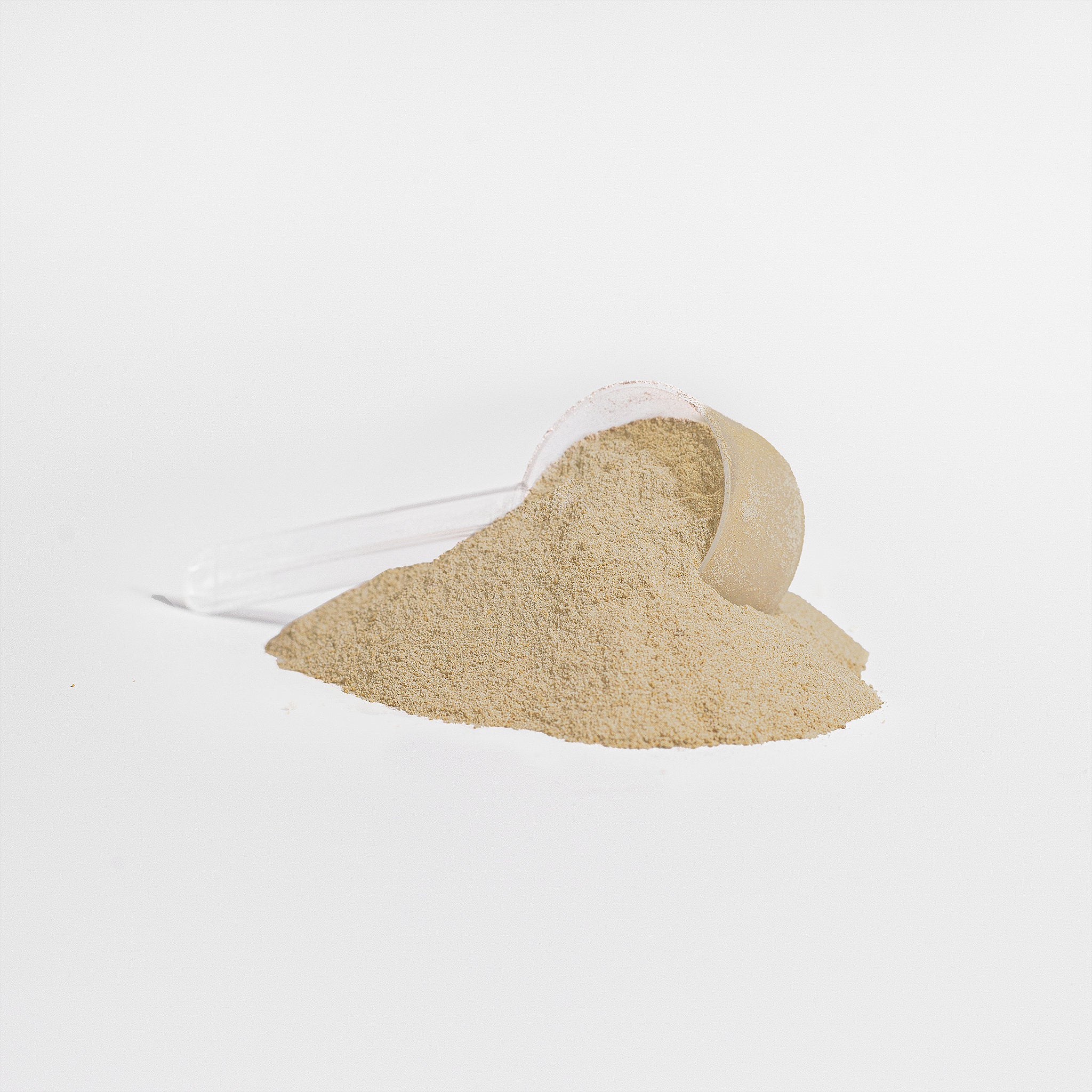 Winning Fuel Protein